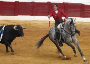 bullfight in Osuna